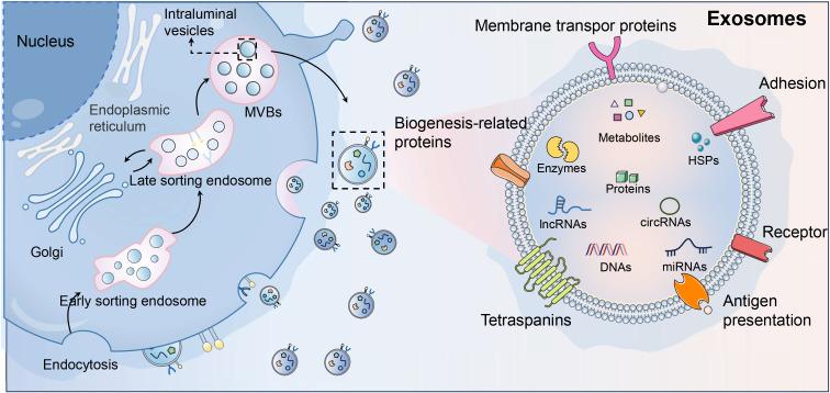 https://cdn.ncbi.nlm.nih.gov/pmc/blobs/b906/11914124/7d15859efddf/fimmu-16-1548535-g001.jpg