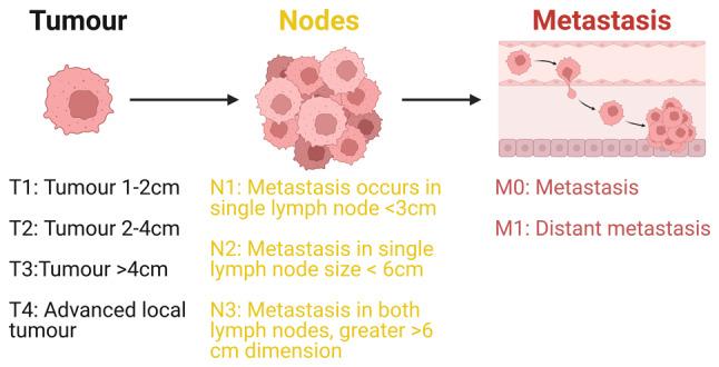 https://cdn.ncbi.nlm.nih.gov/pmc/blobs/b908/11358675/f8e57bf22a7f/or-52-04-08800-g00.jpg