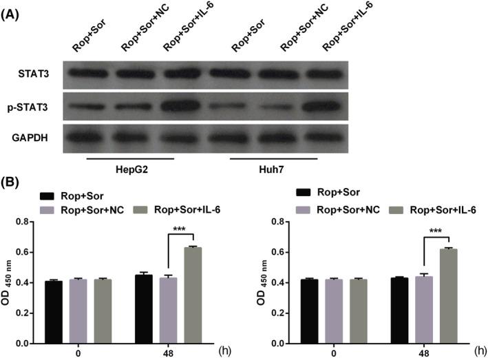 https://cdn.ncbi.nlm.nih.gov/pmc/blobs/b90a/11462969/a9da0b983ea1/CAS-115-2923-g001.jpg