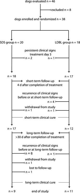 https://cdn.ncbi.nlm.nih.gov/pmc/blobs/b90c/4895459/f8454ed4d19d/JVIM-28-0818-g001.jpg