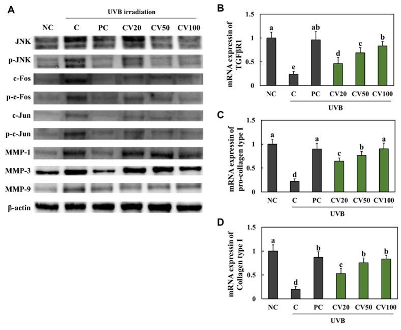 https://cdn.ncbi.nlm.nih.gov/pmc/blobs/b90c/9696482/c34304fb8898/marinedrugs-20-00685-g003.jpg