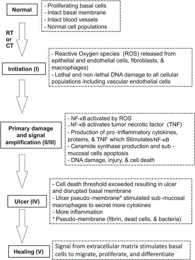 https://cdn.ncbi.nlm.nih.gov/pmc/blobs/b90e/5439125/2d2e4a3ddf6d/fonc-07-00089-g001.jpg