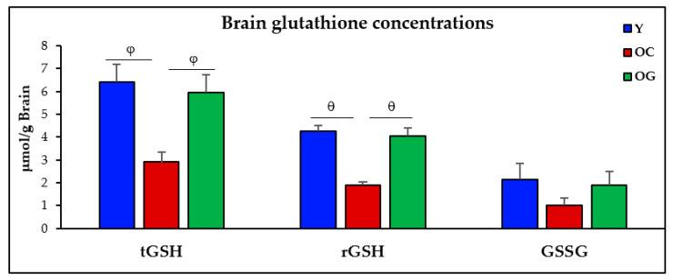 https://cdn.ncbi.nlm.nih.gov/pmc/blobs/b910/10215265/1ee4699ae5e9/antioxidants-12-01042-g003.jpg