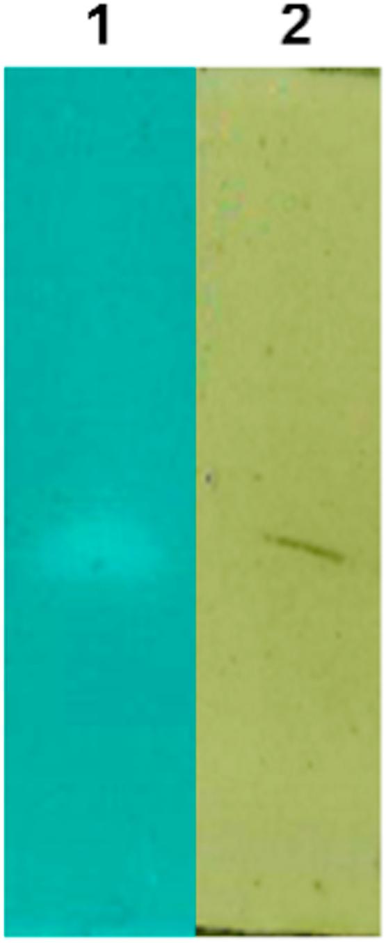 https://cdn.ncbi.nlm.nih.gov/pmc/blobs/b910/5613698/4335fad493b0/gr3.jpg