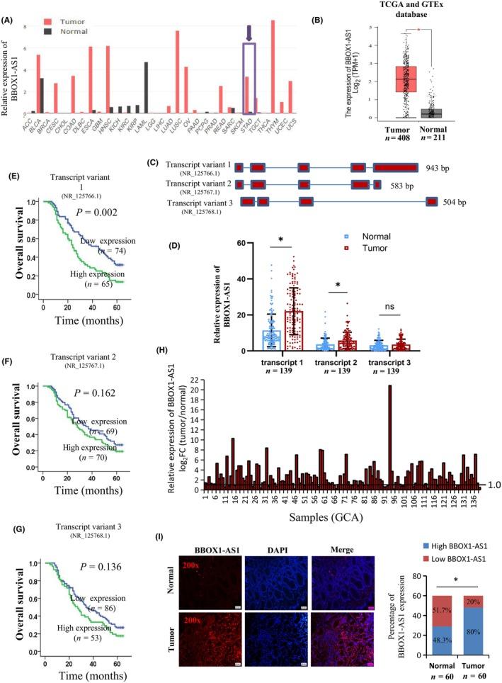https://cdn.ncbi.nlm.nih.gov/pmc/blobs/b912/11611761/24c2a38423e0/CAS-115-3875-g004.jpg