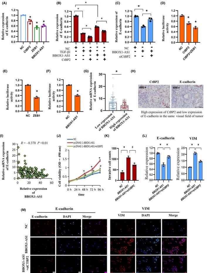 https://cdn.ncbi.nlm.nih.gov/pmc/blobs/b912/11611761/c6ddc51f0a18/CAS-115-3875-g001.jpg
