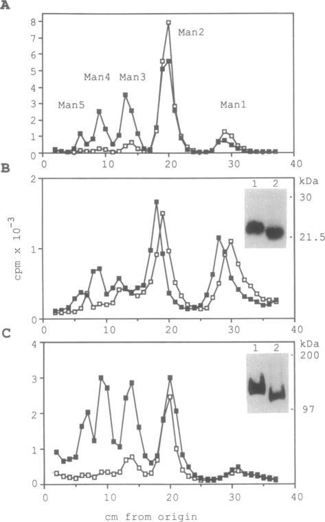 https://cdn.ncbi.nlm.nih.gov/pmc/blobs/b912/49601/7763576d5bb2/pnas01089-0196-a.jpg