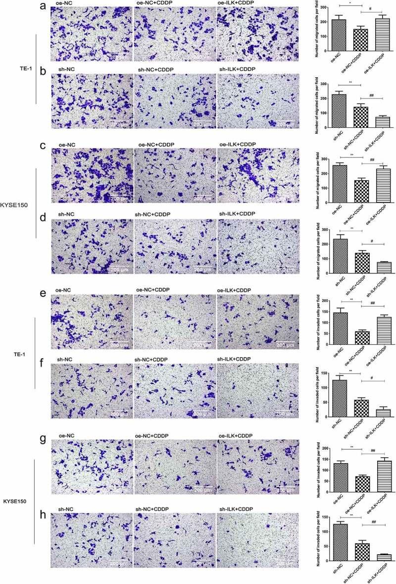 https://cdn.ncbi.nlm.nih.gov/pmc/blobs/b912/9275978/529a1bfe68bf/KBIE_A_2076497_F0006_OC.jpg