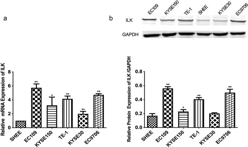 https://cdn.ncbi.nlm.nih.gov/pmc/blobs/b912/9275978/a22dec7a0fca/KBIE_A_2076497_F0001_B.jpg