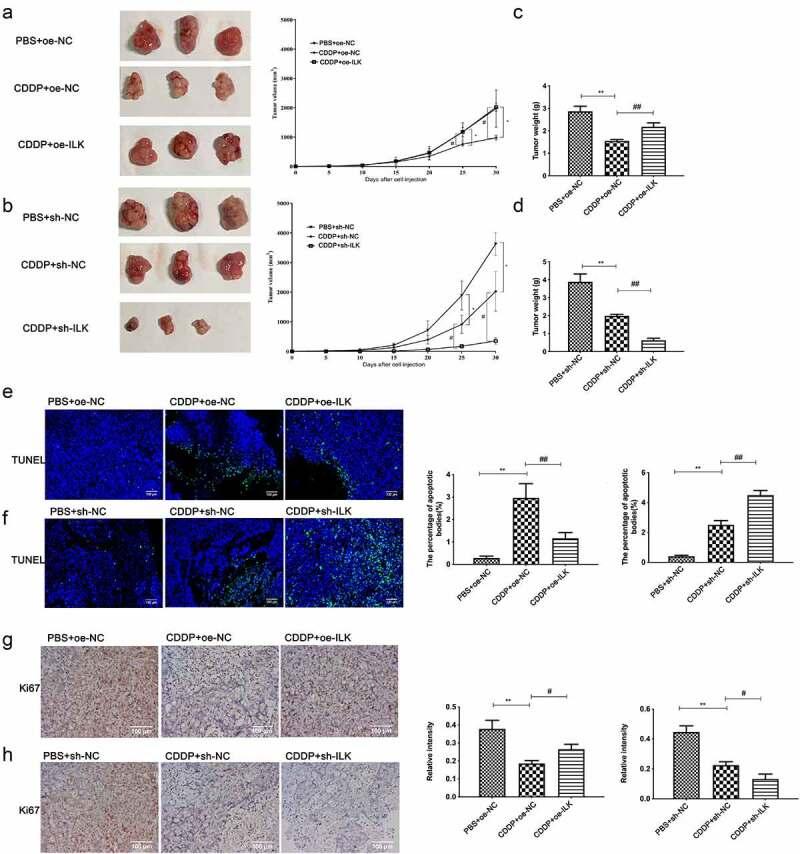 https://cdn.ncbi.nlm.nih.gov/pmc/blobs/b912/9275978/ac1a1c4411d9/KBIE_A_2076497_F0008_OC.jpg