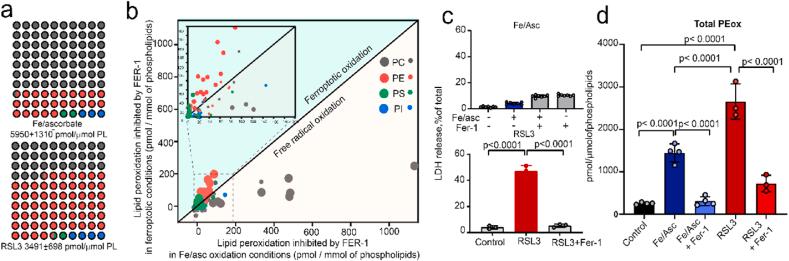 https://cdn.ncbi.nlm.nih.gov/pmc/blobs/b913/7596334/281a5c20978a/gr3.jpg