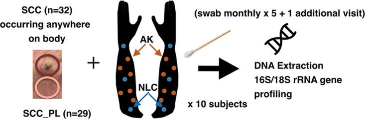https://cdn.ncbi.nlm.nih.gov/pmc/blobs/b914/6178618/a8601c501e3a/mbo0051841060001.jpg