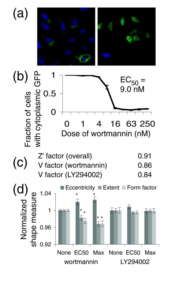 https://cdn.ncbi.nlm.nih.gov/pmc/blobs/b915/1794559/5d5aa3ff61ef/gb-2006-7-10-r100-4.jpg