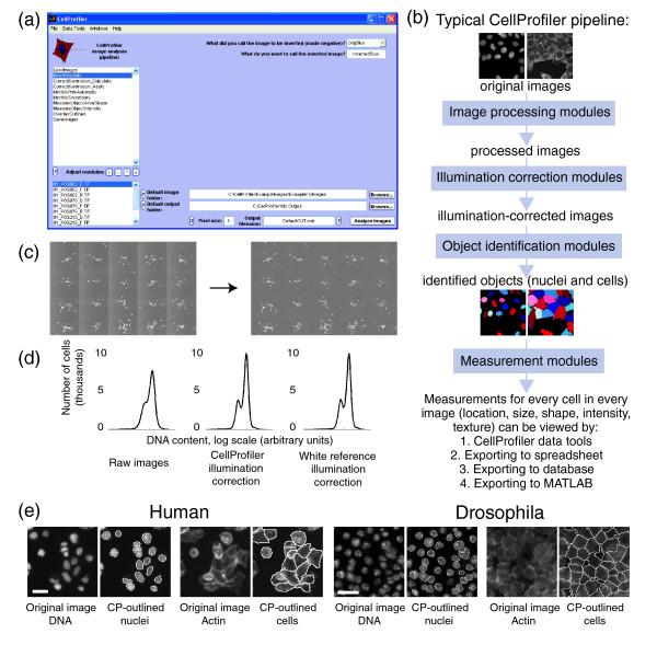 https://cdn.ncbi.nlm.nih.gov/pmc/blobs/b915/1794559/78595f43dc93/gb-2006-7-10-r100-1.jpg