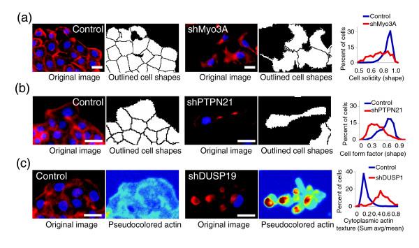 https://cdn.ncbi.nlm.nih.gov/pmc/blobs/b915/1794559/b1ec38792941/gb-2006-7-10-r100-3.jpg