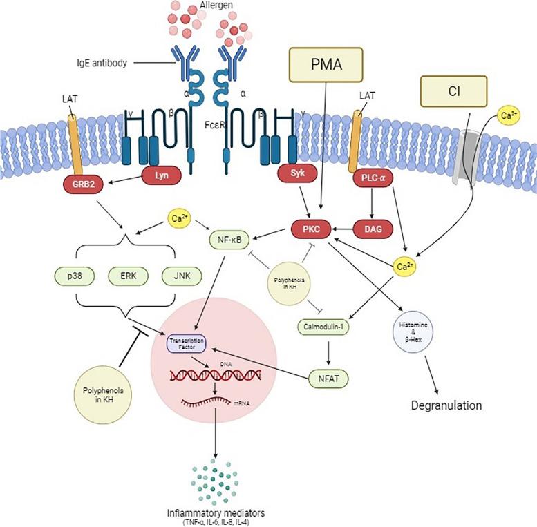 https://cdn.ncbi.nlm.nih.gov/pmc/blobs/b919/10476411/9cd1600b2bd4/12906_2023_4129_Fig9_HTML.jpg