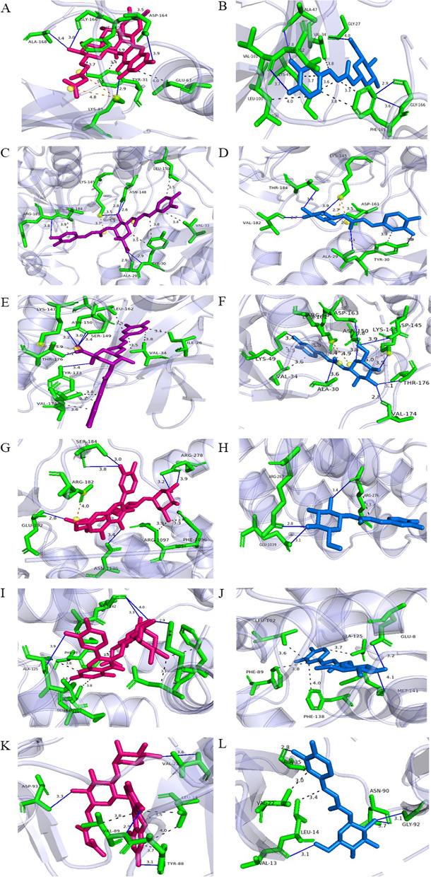 https://cdn.ncbi.nlm.nih.gov/pmc/blobs/b919/10476411/c006d1015bbe/12906_2023_4129_Fig8_HTML.jpg