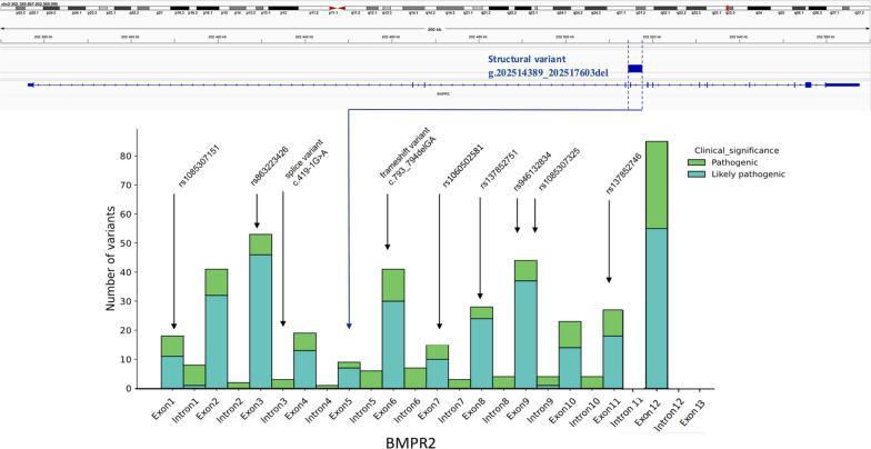 https://cdn.ncbi.nlm.nih.gov/pmc/blobs/b919/11998140/fdb6f6efa87d/12931_2025_3214_Fig2_HTML.jpg