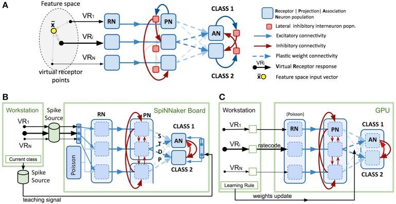 https://cdn.ncbi.nlm.nih.gov/pmc/blobs/b919/4705229/797bedb80bac/fnins-09-00491-g0001.jpg