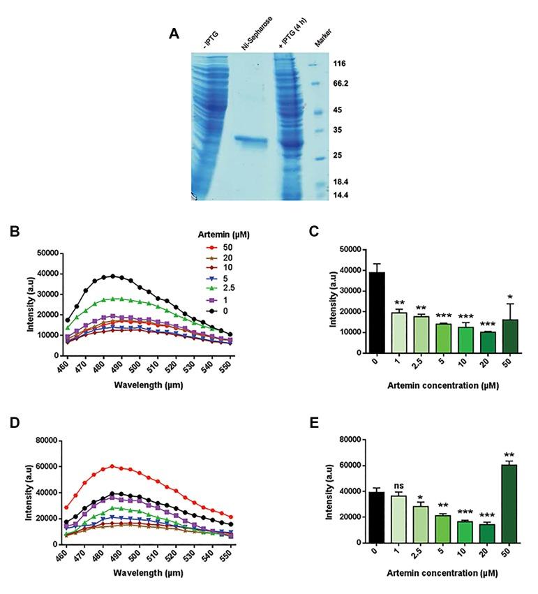 https://cdn.ncbi.nlm.nih.gov/pmc/blobs/b919/5672095/b87f47df908c/Cell-J-19-569-g03.jpg