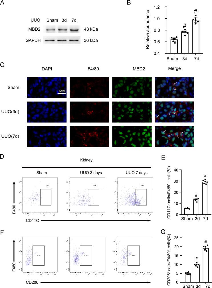 https://cdn.ncbi.nlm.nih.gov/pmc/blobs/b919/8826408/7943af147712/41419_2022_4577_Fig1_HTML.jpg