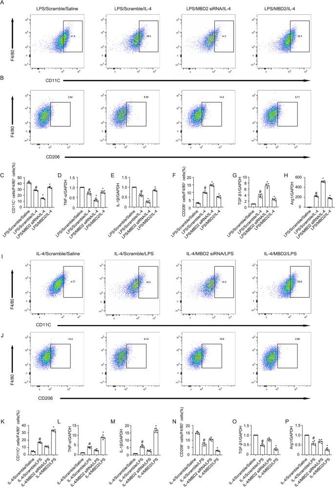 https://cdn.ncbi.nlm.nih.gov/pmc/blobs/b919/8826408/85decc2d7ead/41419_2022_4577_Fig3_HTML.jpg