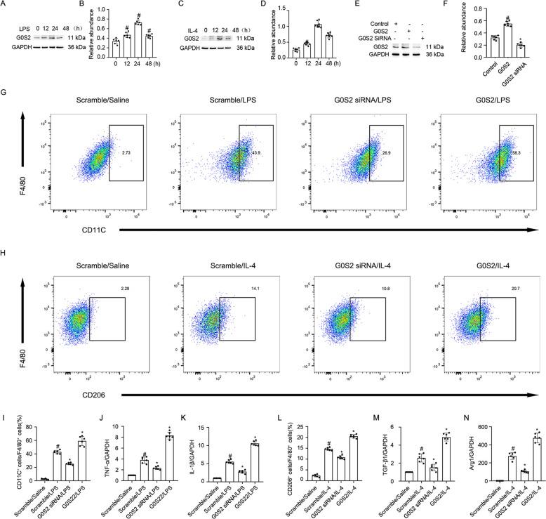 https://cdn.ncbi.nlm.nih.gov/pmc/blobs/b919/8826408/c8139bf4acfa/41419_2022_4577_Fig5_HTML.jpg