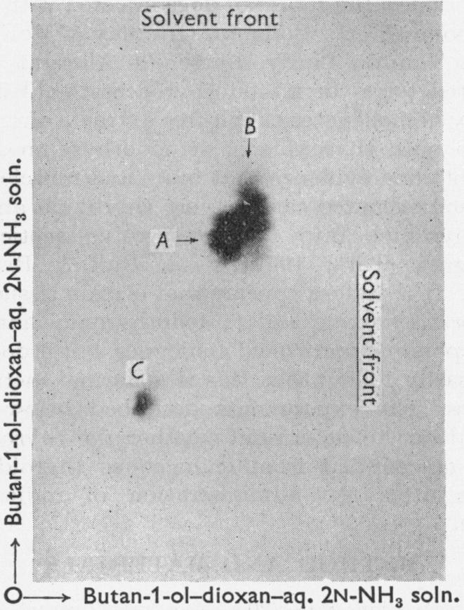 https://cdn.ncbi.nlm.nih.gov/pmc/blobs/b91a/1196927/e5e082d00902/biochemj00820-0132-b.jpg