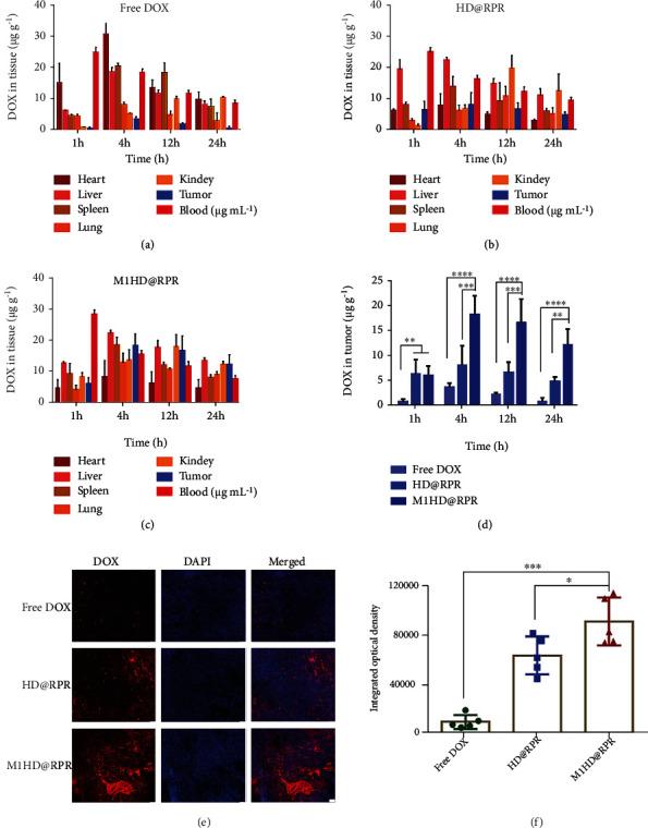 https://cdn.ncbi.nlm.nih.gov/pmc/blobs/b91a/8851070/187e9286d2fc/RESEARCH2022-9768687.006.jpg