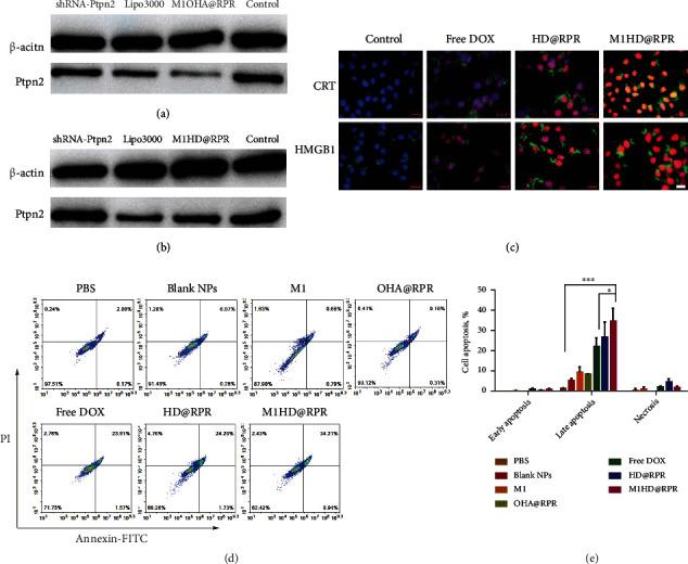 https://cdn.ncbi.nlm.nih.gov/pmc/blobs/b91a/8851070/57d571b0fb36/RESEARCH2022-9768687.004.jpg