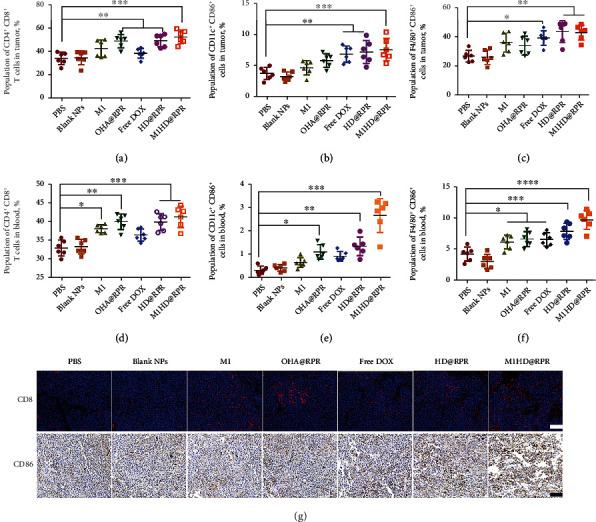 https://cdn.ncbi.nlm.nih.gov/pmc/blobs/b91a/8851070/afa65adbf68d/RESEARCH2022-9768687.009.jpg