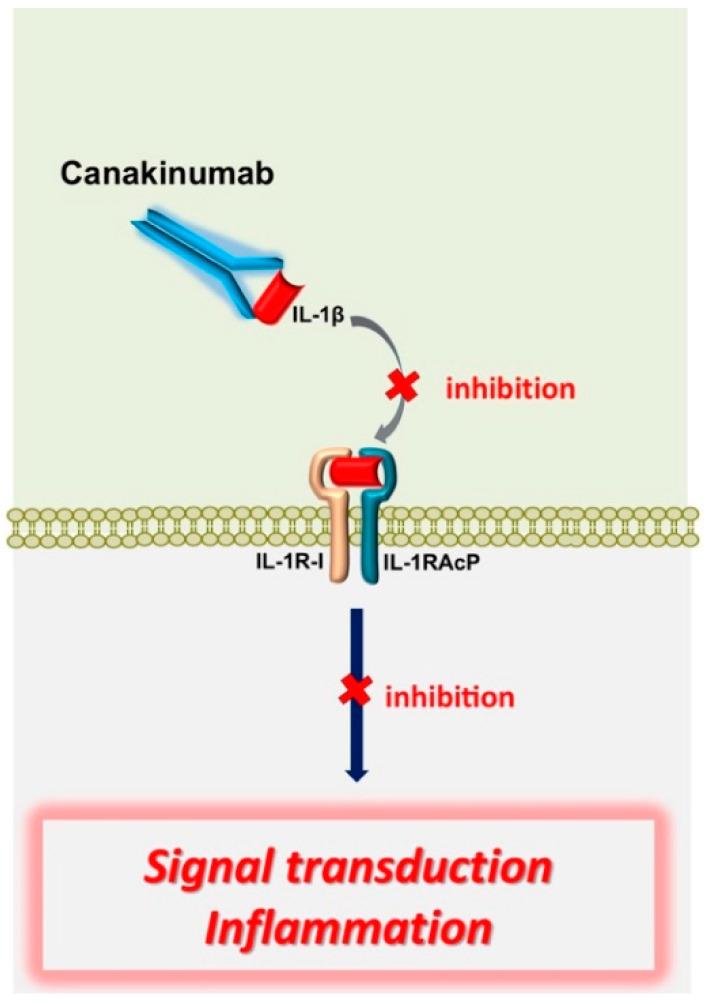 https://cdn.ncbi.nlm.nih.gov/pmc/blobs/b91e/7563178/3272ff5b5cf9/genes-11-01041-g005.jpg