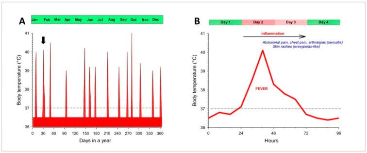 https://cdn.ncbi.nlm.nih.gov/pmc/blobs/b91e/7563178/ac532fd6f78c/genes-11-01041-g003.jpg