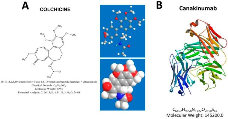 https://cdn.ncbi.nlm.nih.gov/pmc/blobs/b91e/7563178/b0abfee22ba5/genes-11-01041-g004.jpg