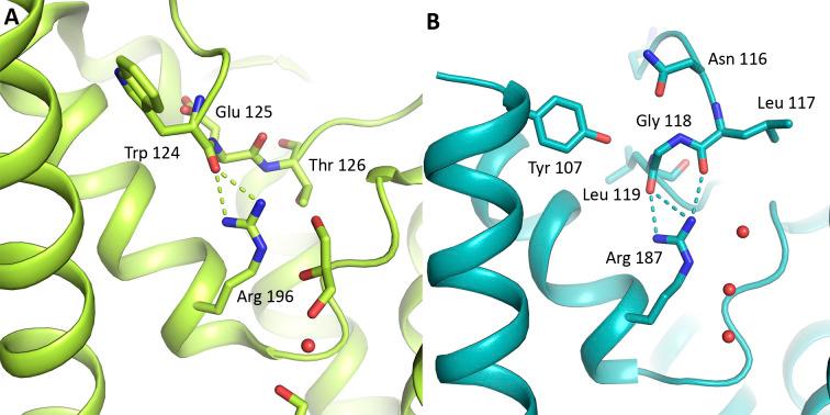 https://cdn.ncbi.nlm.nih.gov/pmc/blobs/b91e/9559756/26c2f910fad9/LSA-2022-01491_FigS9.jpg
