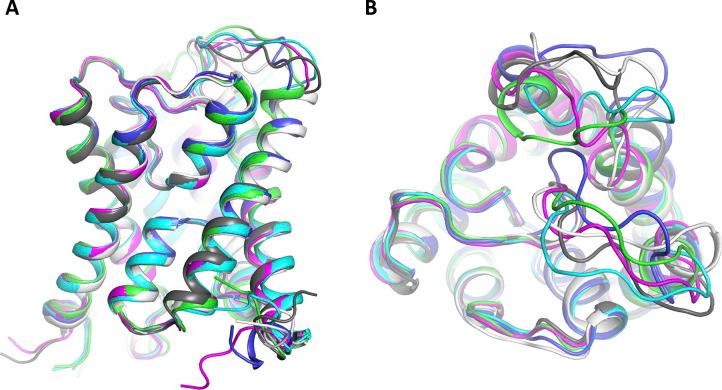 https://cdn.ncbi.nlm.nih.gov/pmc/blobs/b91e/9559756/5ca69f5cbe0f/LSA-2022-01491_FigS8.jpg