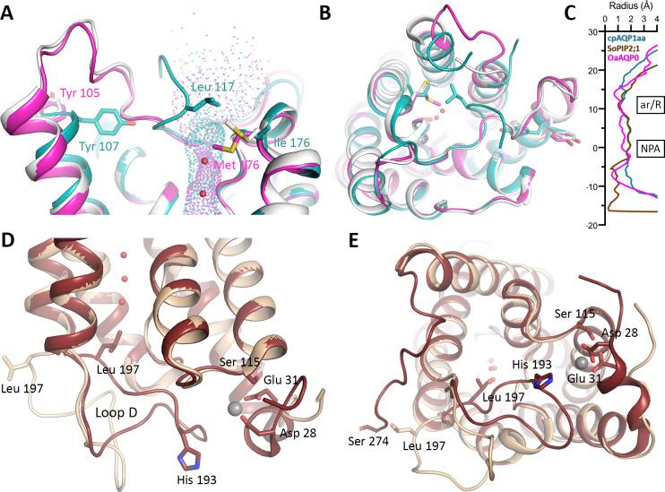 https://cdn.ncbi.nlm.nih.gov/pmc/blobs/b91e/9559756/d834b268bd1d/LSA-2022-01491_FigS10.jpg