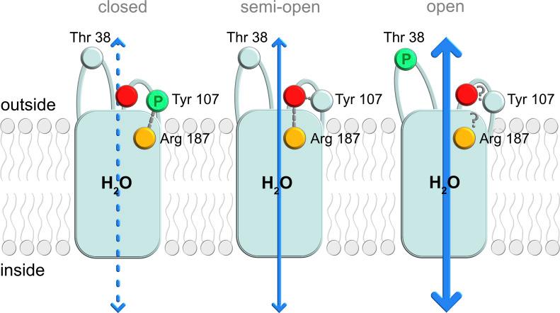 https://cdn.ncbi.nlm.nih.gov/pmc/blobs/b91e/9559756/e4e7f4a3856c/LSA-2022-01491_Fig5.jpg