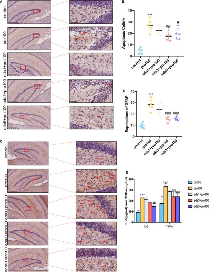 https://cdn.ncbi.nlm.nih.gov/pmc/blobs/b920/8178254/2593cdb54d52/JCMM-25-4974-g005.jpg