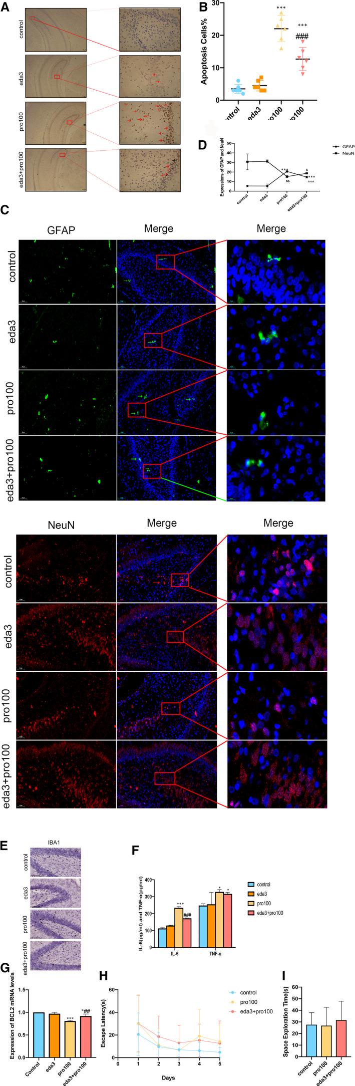 https://cdn.ncbi.nlm.nih.gov/pmc/blobs/b920/8178254/6932cc91d11b/JCMM-25-4974-g003.jpg