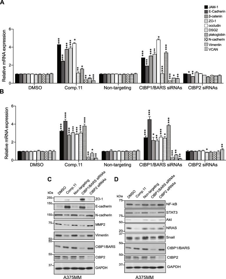 https://cdn.ncbi.nlm.nih.gov/pmc/blobs/b922/11071220/6b92b22c6e6c/13046_2024_3044_Fig7_HTML.jpg