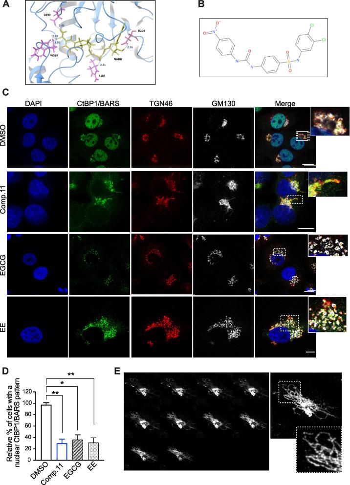 https://cdn.ncbi.nlm.nih.gov/pmc/blobs/b922/11071220/6ec86728e8f5/13046_2024_3044_Fig1_HTML.jpg
