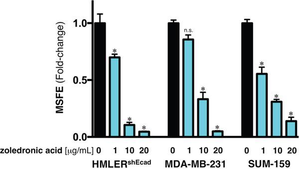 https://cdn.ncbi.nlm.nih.gov/pmc/blobs/b922/5471031/25c56c1b1188/oncotarget-08-35019-g004.jpg
