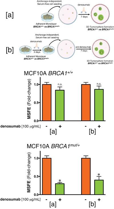 https://cdn.ncbi.nlm.nih.gov/pmc/blobs/b922/5471031/635bc1272fec/oncotarget-08-35019-g002.jpg