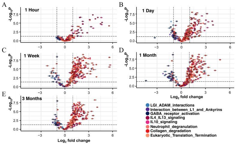 https://cdn.ncbi.nlm.nih.gov/pmc/blobs/b924/9324287/0f6d1fcecc80/cells-11-02236-g007.jpg