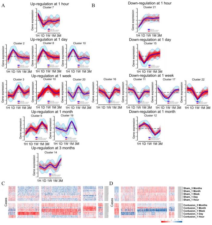 https://cdn.ncbi.nlm.nih.gov/pmc/blobs/b924/9324287/4a84d4166303/cells-11-02236-g003.jpg