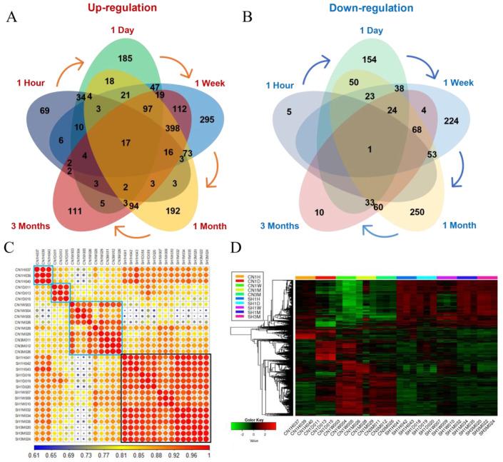 https://cdn.ncbi.nlm.nih.gov/pmc/blobs/b924/9324287/5def8f8793b8/cells-11-02236-g005.jpg