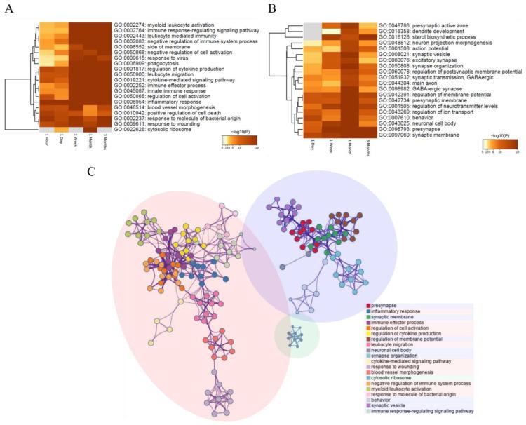 https://cdn.ncbi.nlm.nih.gov/pmc/blobs/b924/9324287/a8690c14254b/cells-11-02236-g002.jpg