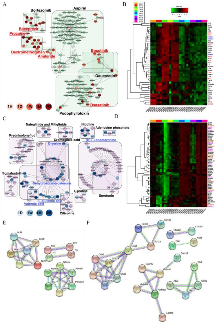https://cdn.ncbi.nlm.nih.gov/pmc/blobs/b924/9324287/dffc1cce82fd/cells-11-02236-g008.jpg