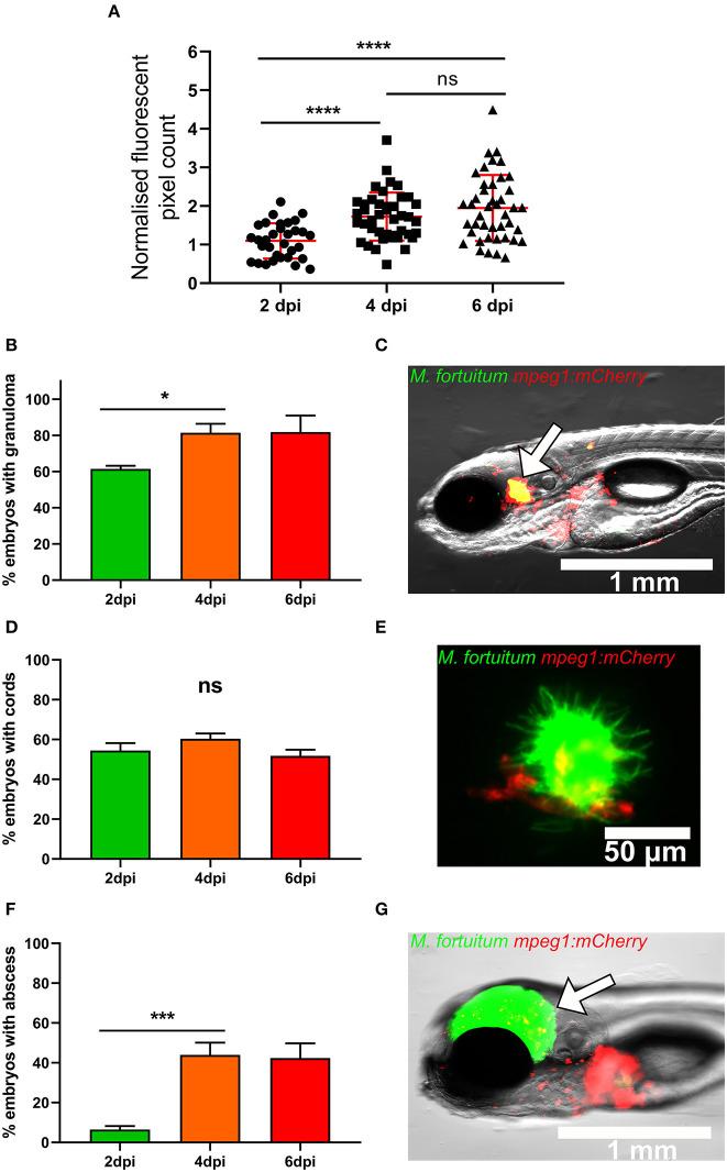 https://cdn.ncbi.nlm.nih.gov/pmc/blobs/b927/7396536/d2a42dc68cff/fcimb-10-00357-g0003.jpg